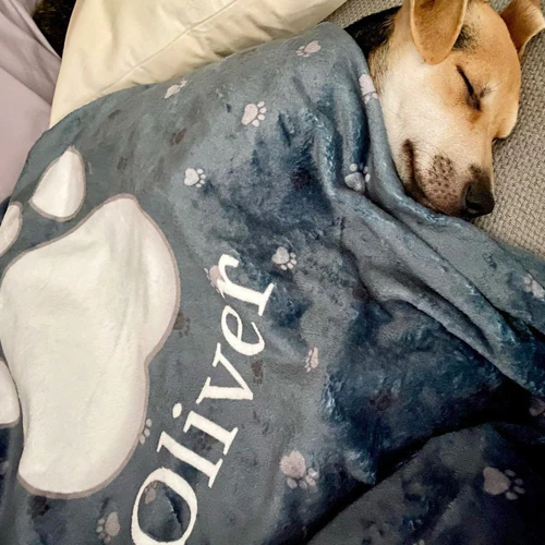 Contenido Generado por Usuarios Opiniones de Usuarios