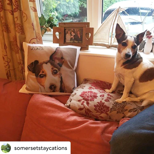 Contenido Generado por el Usuario Reseñas de Usuarios