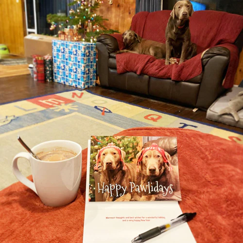 Contenido Generado por Usuarios Reseñas de Usuarios