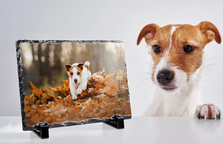 Pizarra de Foto de Piedra|Pizarras de Fotos Personalizadas|Pizarras de Fotos Personalizadas|Pizarras de Fotos Personalizadas|Pizarras de Fotos Personalizadas|Pizarras de Fotos Personalizadas|||||