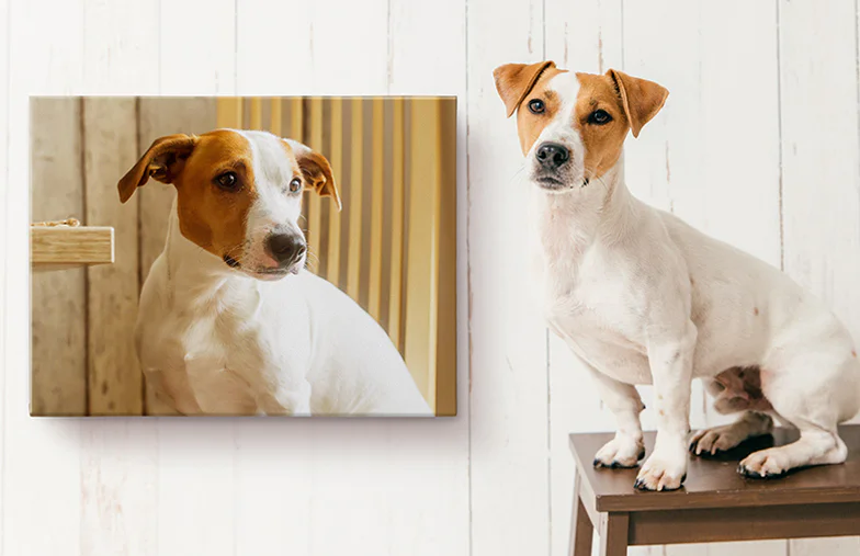 Impresiones en Lienzo Personalizadas con Fotos de Printerpix|Impresiones en Lienzo Personalizadas|Impresiones en Lienzo Personalizadas|Impresiones en Lienzo Personalizadas|Impresiones en Lienzo Personalizadas|Impresiones en Lienzo Personalizadas|||||