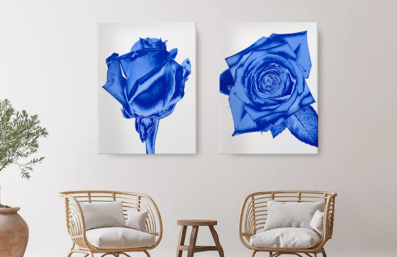 Lienzo de Collage de Fotos Personalizado de Printerpix|Lienzo de Arte de Pared|Lienzo de Arte de Pared|Lienzo de Arte de Pared|Lienzo de Arte de Pared|Lienzo de Arte de Pared|||||