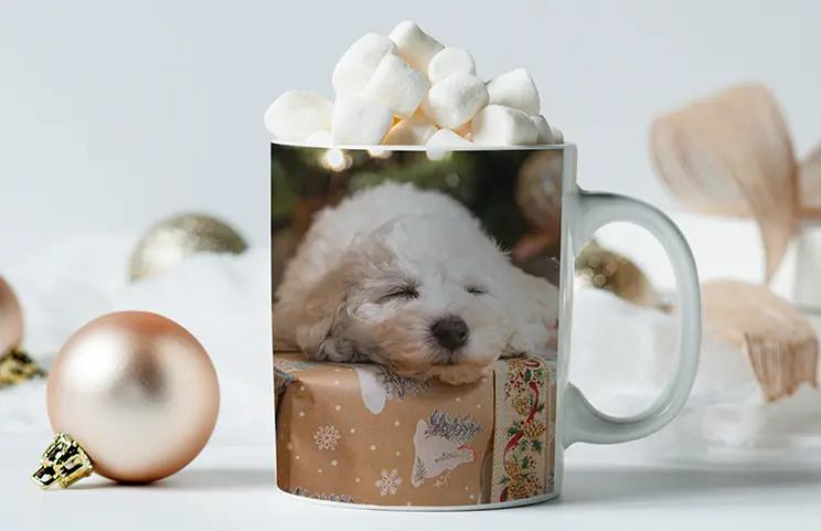 Tazas de Foto Personalizadas de Printerpix|Mamá y bebé sosteniendo una taza personalizada con diseño de dibujos animados de Printerpix con texto para papá|Taza de foto personalizada con imagen de bebé gateando con un mono de animal|Mamá e hija sosteniendo tazas de foto personalizadas con fotos familiares|Pareja besándose con tazas personalizadas con texto|Taza de foto personalizada con tu propia foto de un perro|||||