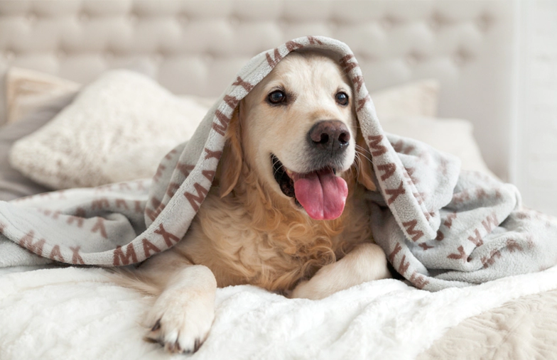 Manta de foto grande en cama doble con foto de niña
