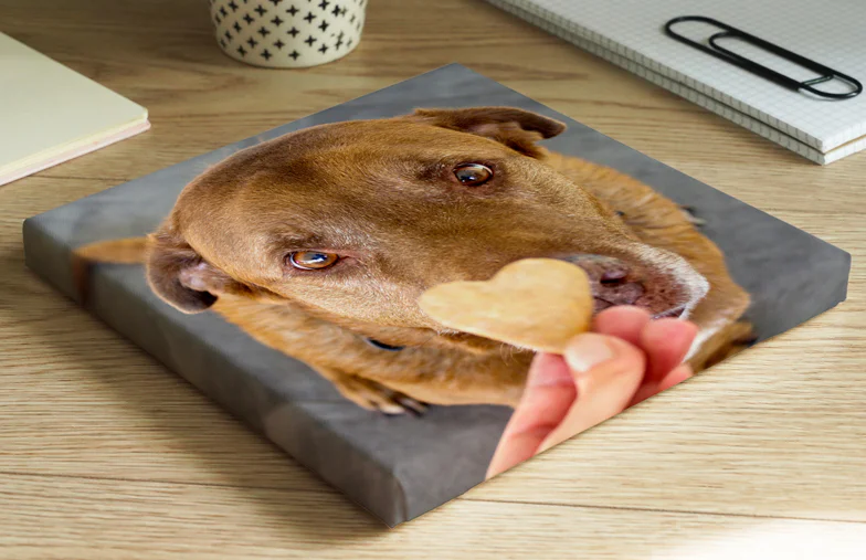 Impresiones en Lienzo de Fotos de Mascotas