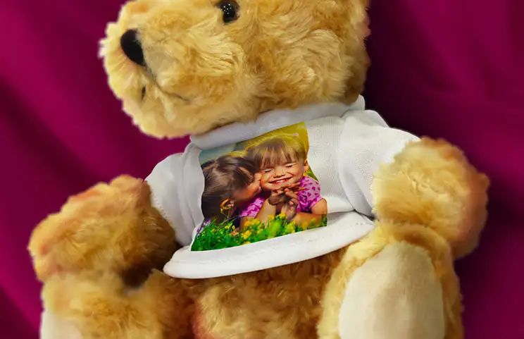 Oso de peluche general