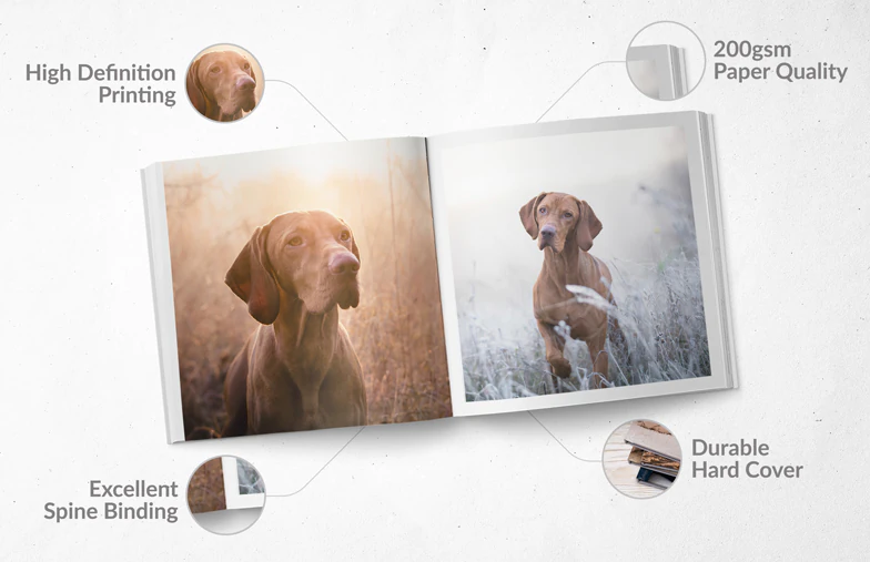 Álbumes de fotos personalizados