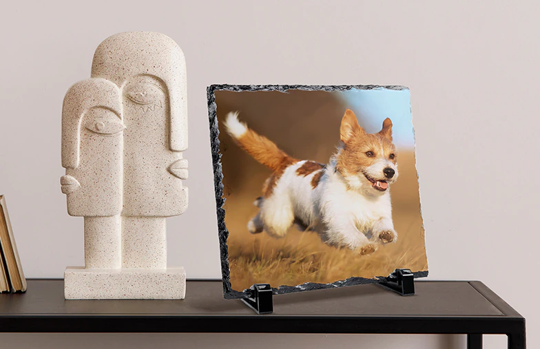 Pizarras de Fotos Personalizadas