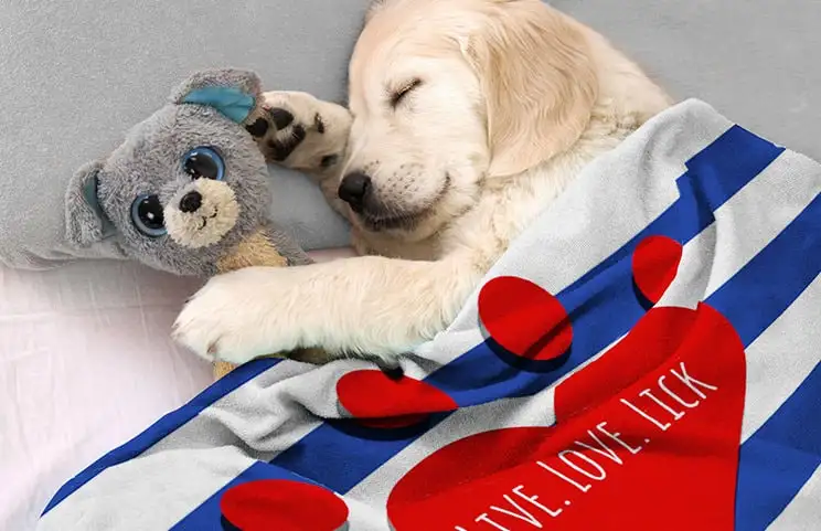 Cachorro en la cama con manta personalizada con diseño de texto personalizado