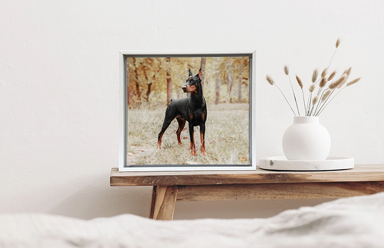 Impresiones en Lienzo Personalizadas