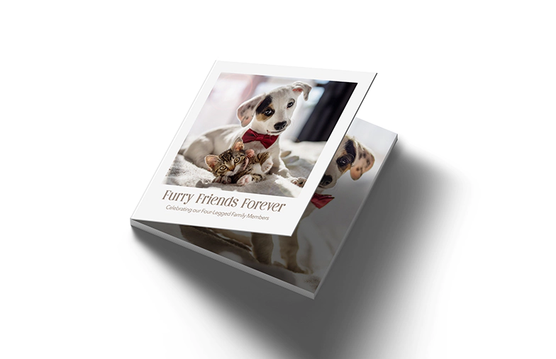Mini Libros de Fotos Layflat