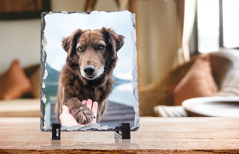 Pizarras de Fotos Personalizadas