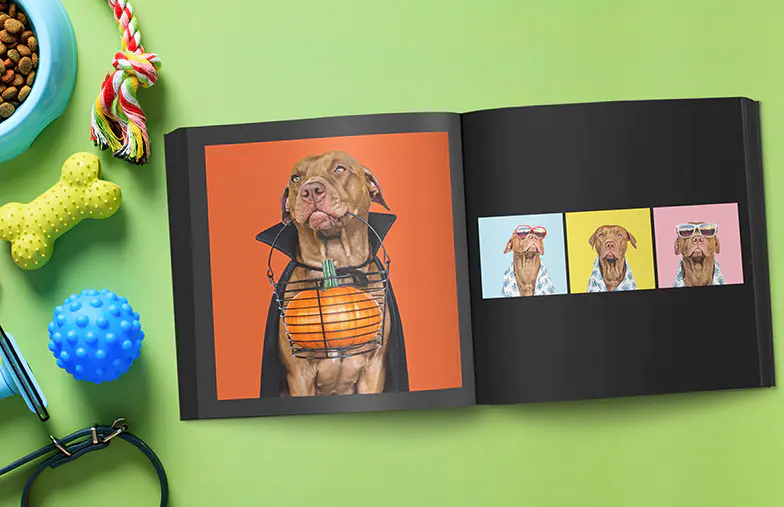 Álbumes de fotos personalizados