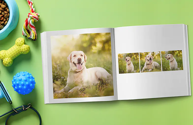 Momentos Modernos en Libro de Fotos Blanco