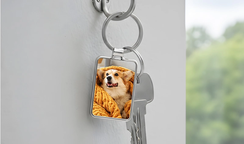 Fácil Creación en Línea