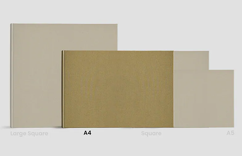 Beige Atemporal